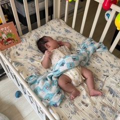 KATOJI  ベビーベッド　ミニの画像