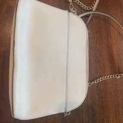 マイケルコースバッグの画像