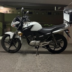 即日納車🉑整備済み‼️現車確認🉑125cc ヤマハ　YBR125 原付二種　ピンクナンバー　YAMAHA バイク　車体　中型　MT マニュアル　本体　ネイキッド　HONDA Kawasaki SUZUKI 通勤　通学　ホンダ　カワサキ　スズキ　の画像