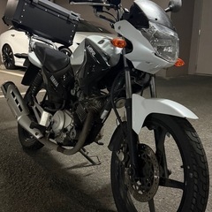 即日納車🉑整備済み‼️現車確認🉑125cc ヤマハ　YBR125 原付二種　ピンクナンバー　YAMAHA バイク　車体　中型　MT マニュアル　本体　ネイキッド　HONDA Kawasaki SUZUKI 通勤　通学　ホンダ　カワサキ　スズキ　の画像