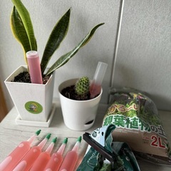 観葉植物・多肉植物と園芸用品セットの画像