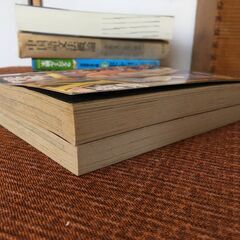 御縁を【漫画2冊】Y氏の隣人 ドラ魔 新Y氏の隣人 迷宮地獄編 吉田ひろゆき ジャンプ SJR 集英社 2007年の画像