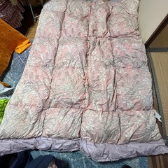 羽毛かけ布団、2枚セットの画像