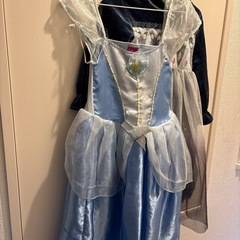 ディズニープリンセス　ドレスの画像