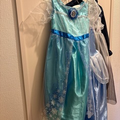 ディズニープリンセス　ドレスの画像