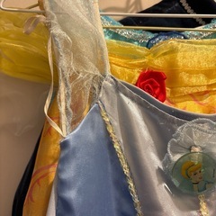 ディズニープリンセス　ドレスの画像