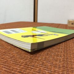 STREET SOCCER ブラジル テクニック コレクション 東邦出版 アデマールペレイラマリーニョ 下田哲朗 サッカー 古本書の画像