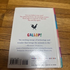 仕掛け絵本
の画像