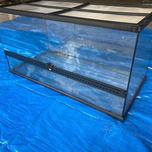 GEX エキゾテラ グラステラリウム 6030