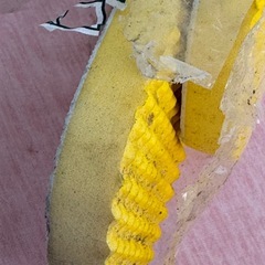 🔴受付終了🔴島ぞうり001の画像