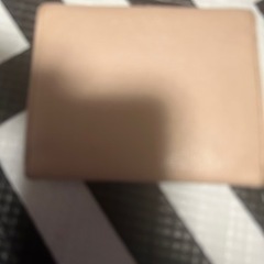 フルラカードケースの画像