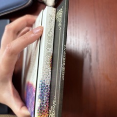 ボーカロイドは終末鳥の夢を見るかの画像