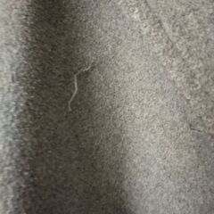 コート　要修理の画像