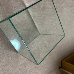 小型ガラス水槽の画像