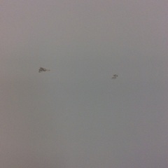 【奥行き薄型冷蔵庫】3ドア冷凍冷蔵庫 Panasonic ﾊﾟﾅｿﾆｯｸ NR-C33ES1-W 326L 2024年製:マットホワイトの画像