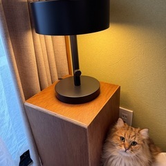 IKEA テーブルランプ　NYMÅNE ニーモーネの画像