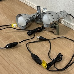 ヤザワ クリップライト2個セットの画像