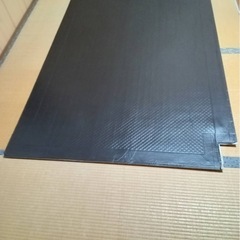 フローリングカーペットのカーペット機能がないフローリングだけの画像