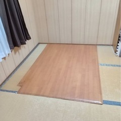 フローリングカーペットのカーペット機能がないフローリングだけの画像