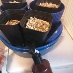 ガーデニング用品の画像