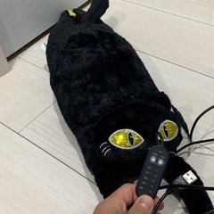 6日前に届いた　黒猫USB ホッカイロの画像