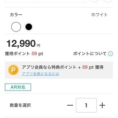 【引渡し決まりました】シーリング　メストロの画像