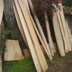 DIY好きな方、薪材にもケヤキ板材あります、無料、ケヤキ板材の写真は15日までお待ちください。写真は見本です。