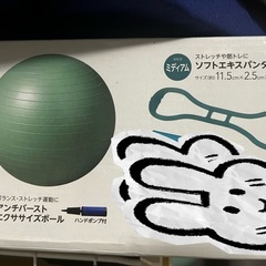 エクササイズボール＆ソフトエキスパンダー セット（ハンドポンプ付き）の画像