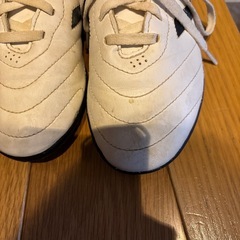 adidas サッカー　22.0の画像