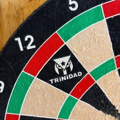 廃棄します！お早めに　ハード用ダーツボード　トリニダード の画像