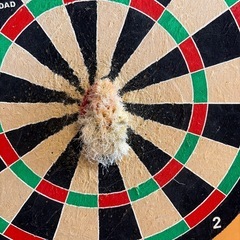 廃棄します！お早めに　ハード用ダーツボード　トリニダード の画像