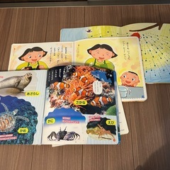 みみちゃん絵本8冊の画像