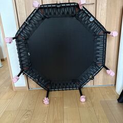 
商談中【差し上げます】トランポリンの画像