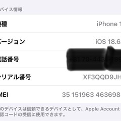 iPhone13 256㌐ 初期化済 SIMフリー
📱🔌の画像