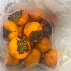 柿　かき　無農薬(お一人とお話し中)の画像