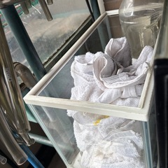水槽色々500円ー〜の画像