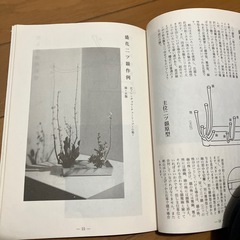 桂式自由花
の画像