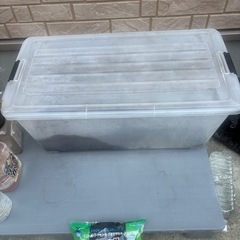 カブトムシの幼虫の画像