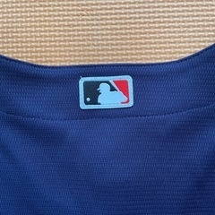 野球　アストロズ　応援ユニホームの画像