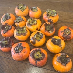 柿　かき　無農薬(お一人とお話し中)の画像