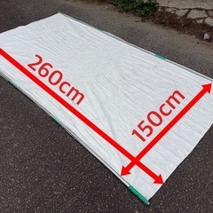 もも🍑ため使うタイペックシェートの画像