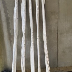 もも🍑ため使うタイペックシェートの画像