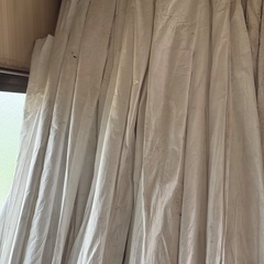 もも🍑ため使うタイペックシェートの画像