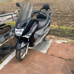 マジェスティ125の画像