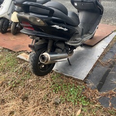 マジェスティ125の画像