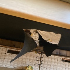 ３人かけソファの画像