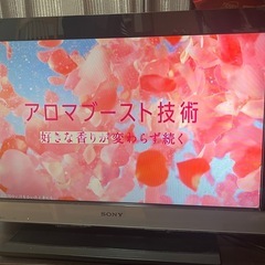 ソニー　BRAVIA
デジタルハイビジョン液晶テレビ  KDL-26EX300の画像