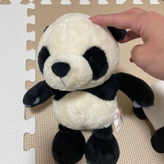 アドベンチャーワールド　パンダ　ぬいぐるみの画像