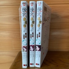 「後宮も二度目なら」1-3巻セットにて（完結）の画像