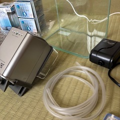 水槽 小型　フルセット 金魚 グッピー テトラの画像